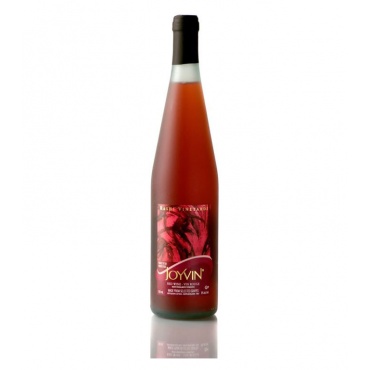 rashi-joyvin-red  